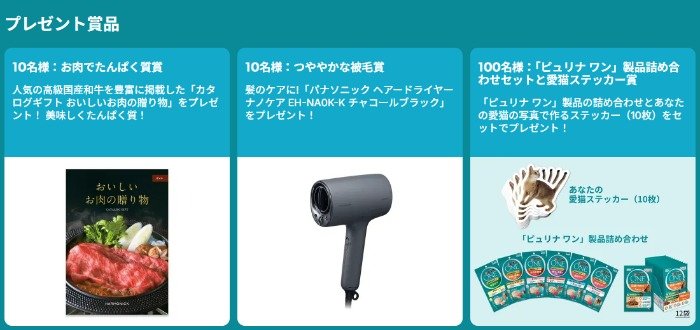 prize image