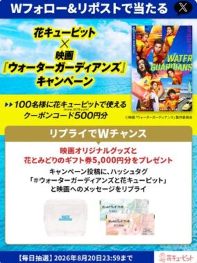 prize image